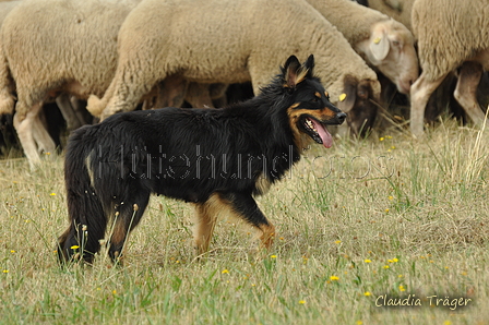 AAH Freundschaftshüten / Bild 15 von 151 / 29.07.2018 10:12 / DSC_6819.JPG