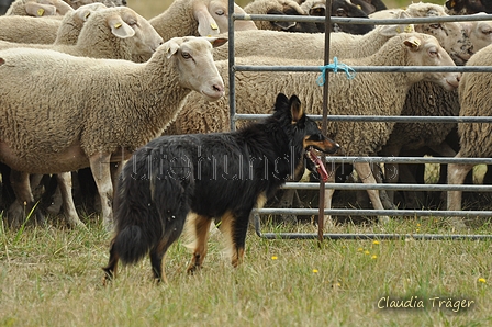 AAH Freundschaftshüten / Bild 18 von 151 / 29.07.2018 10:14 / DSC_6861.JPG