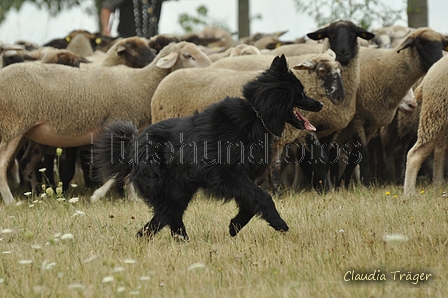 AAH Freundschaftshüten / Bild 33 von 151 / 29.07.2018 10:56 / DSC_7455.JPG