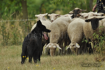 AAH Freundschaftshüten / Bild 34 von 151 / 29.07.2018 10:56 / DSC_7464.JPG