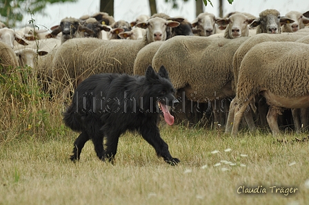 AAH Freundschaftshüten / Bild 35 von 151 / 29.07.2018 10:57 / DSC_7484.JPG