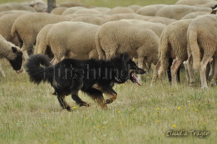 AAH Freundschaftshüten / Bild 42 von 151 / 29.07.2018 11:02 / DSC_7628.JPG