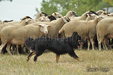 AAH Freundschaftshüten / Bild 46 von 151 / 29.07.2018 11:24 / DSC_7970.JPG