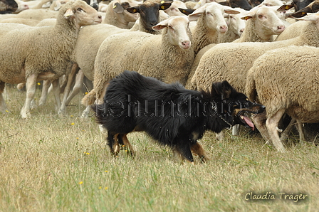 AAH Freundschaftshüten / Bild 49 von 151 / 29.07.2018 11:26 / DSC_7998.JPG