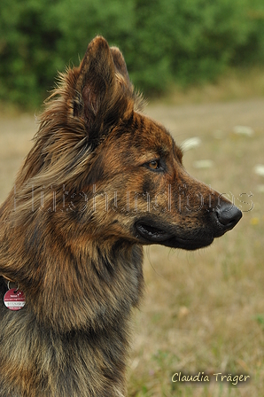 AAH Freundschaftshüten / Bild 53 von 151 / 29.07.2018 11:37 / DSC_8119.JPG