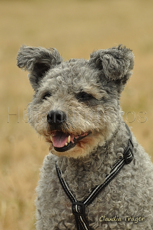 AAH Freundschaftshüten / Bild 78 von 151 / 29.07.2018 11:54 / DSC_8388.JPG