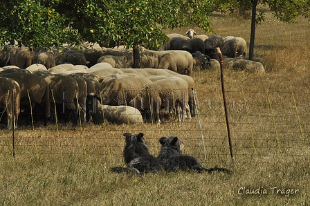 AAH Freundschaftshüten / Bild 80 von 151 / 29.07.2018 12:58 / DSC_8410.JPG