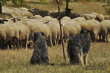 AAH Freundschaftshüten / Bild 81 von 151 / 29.07.2018 13:01 / DSC_8424.JPG