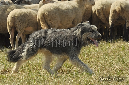 AAH Freundschaftshüten / Bild 83 von 151 / 29.07.2018 13:06 / DSC_8594.JPG