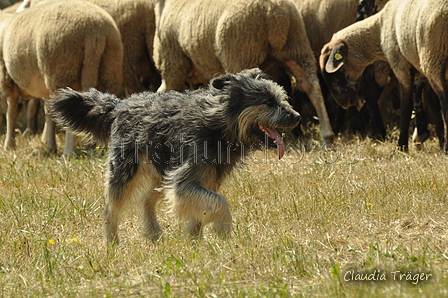 AAH Freundschaftshüten / Bild 85 von 151 / 29.07.2018 13:08 / DSC_8646.JPG