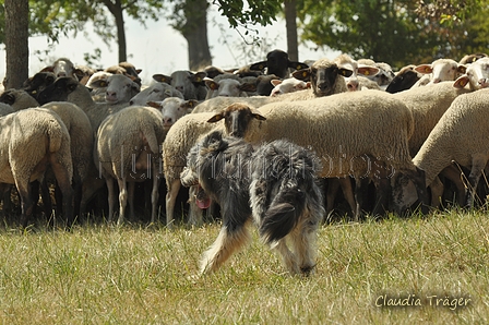 AAH Freundschaftshüten / Bild 86 von 151 / 29.07.2018 13:09 / DSC_8729.JPG