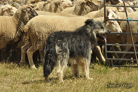 AAH Freundschaftshüten / Bild 92 von 151 / 29.07.2018 13:15 / DSC_8908.JPG