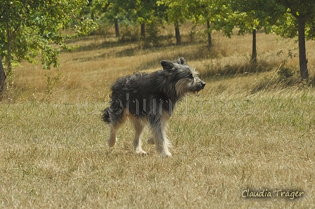 AAH Freundschaftshüten / Bild 94 von 151 / 29.07.2018 13:17 / DSC_8985.JPG