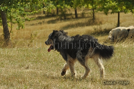 AAH Freundschaftshüten / Bild 97 von 151 / 29.07.2018 13:18 / DSC_8997.JPG