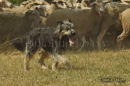 AAH Freundschaftshüten / Bild 99 von 151 / 29.07.2018 13:24 / DSC_9118.JPG