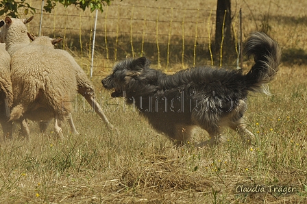 AAH Freundschaftshüten / Bild 101 von 151 / 29.07.2018 13:24 / DSC_9147.JPG