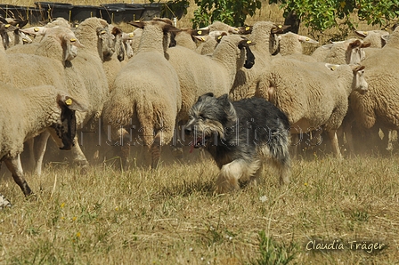 AAH Freundschaftshüten / Bild 102 von 151 / 29.07.2018 13:24 / DSC_9149.JPG