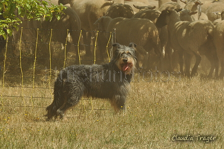 AAH Freundschaftshüten / Bild 103 von 151 / 29.07.2018 13:24 / DSC_9181.JPG