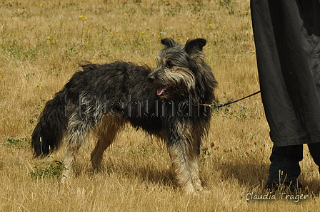 AAH Freundschaftshüten / Bild 109 von 151 / 29.07.2018 13:39 / DSC_9345.JPG