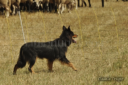 AAH Freundschaftshüten / Bild 116 von 151 / 29.07.2018 14:01 / DSC_9524.JPG