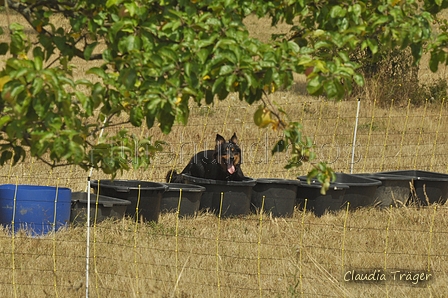 AAH Freundschaftshüten / Bild 117 von 151 / 29.07.2018 14:09 / DSC_9594.JPG