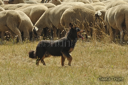 AAH Freundschaftshüten / Bild 120 von 151 / 29.07.2018 14:14 / DSC_9690.JPG