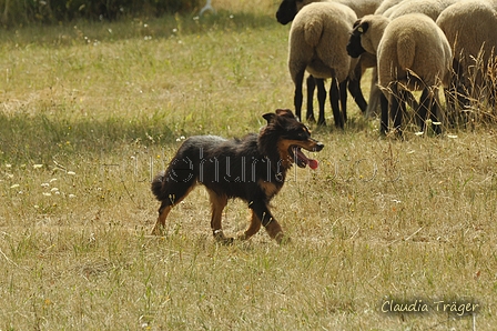 AAH Freundschaftshüten / Bild 121 von 151 / 29.07.2018 14:15 / DSC_9696.JPG