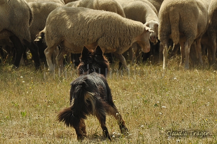 AAH Freundschaftshüten / Bild 123 von 151 / 29.07.2018 14:15 / DSC_9734.JPG