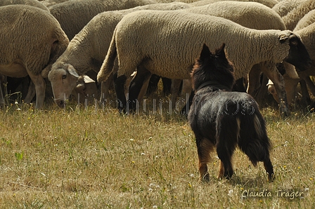 AAH Freundschaftshüten / Bild 125 von 151 / 29.07.2018 14:16 / DSC_9759.JPG