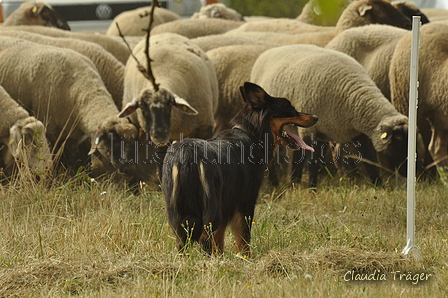 AAH Freundschaftshüten / Bild 129 von 151 / 29.07.2018 14:20 / DSC_9922.JPG