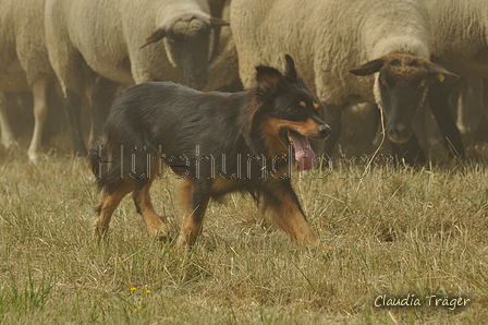 AAH Freundschaftshüten / Bild 131 von 151 / 29.07.2018 14:21 / DSC_9935.JPG