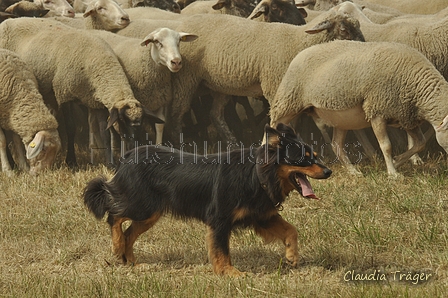 AAH Freundschaftshüten / Bild 132 von 151 / 29.07.2018 14:21 / DSC_9945.JPG