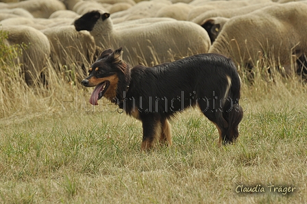 AAH Freundschaftshüten / Bild 134 von 151 / 29.07.2018 14:24 / DSC_0027.JPG