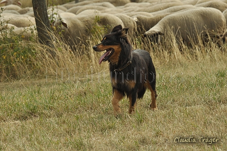 AAH Freundschaftshüten / Bild 135 von 151 / 29.07.2018 14:24 / DSC_0031.JPG