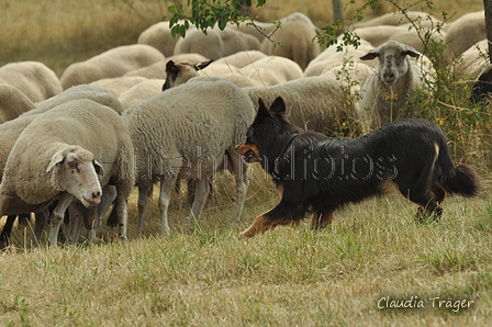 AAH Freundschaftshüten / Bild 137 von 151 / 29.07.2018 14:26 / DSC_0059.JPG