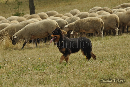 AAH Freundschaftshüten / Bild 139 von 151 / 29.07.2018 14:26 / DSC_0087.JPG