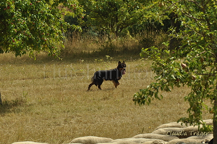 AAH Freundschaftshüten / Bild 140 von 151 / 29.07.2018 14:28 / DSC_0102.JPG