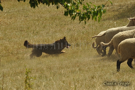 AAH Freundschaftshüten / Bild 141 von 151 / 29.07.2018 14:30 / DSC_0118.JPG