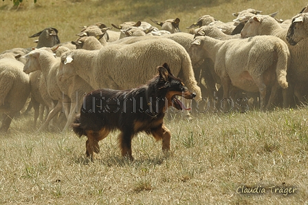 AAH Freundschaftshüten / Bild 143 von 151 / 29.07.2018 14:31 / DSC_0152.JPG