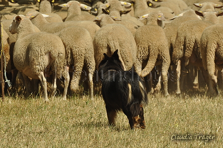 AAH Freundschaftshüten / Bild 146 von 151 / 29.07.2018 14:34 / DSC_0233.JPG