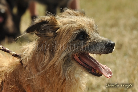 AAH Freundschaftshüten / Bild 150 von 151 / 29.07.2018 14:44 / DSC_0373.JPG