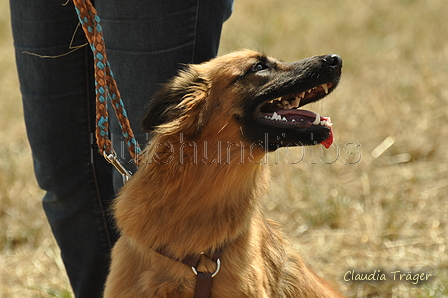 AAH Freundschaftshüten / Bild 151 von 151 / 29.07.2018 14:46 / DSC_0395.JPG