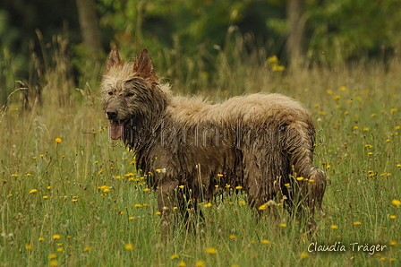 AAH Freundschaftshüten / Bild 6 von 88 / 28.07.2019 09:02 / DSC_5118.JPG