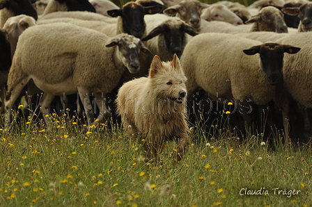 AAH Freundschaftshüten / Bild 9 von 88 / 28.07.2019 09:53 / DSC_5287.JPG