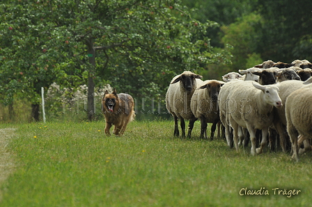 AAH Freundschaftshüten / Bild 15 von 88 / 28.07.2019 10:09 / DSC_5596.JPG