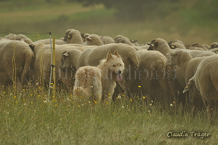 AAH Freundschaftshüten / Bild 23 von 88 / 28.07.2019 10:21 / DSC_5833.JPG