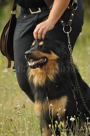 AAH Freundschaftshüten / Bild 36 von 88 / 28.07.2019 11:18 / DSC_6619.JPG