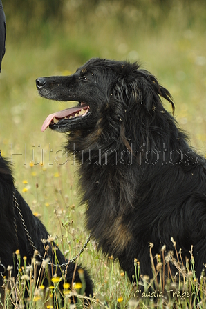 AAH Freundschaftshüten / Bild 37 von 88 / 28.07.2019 11:18 / DSC_6620.JPG