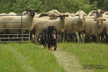 AAH Freundschaftshüten / Bild 47 von 88 / 28.07.2019 11:53 / DSC_6940.JPG