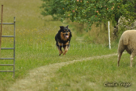 AAH Freundschaftshüten / Bild 48 von 88 / 28.07.2019 11:59 / DSC_7056.JPG